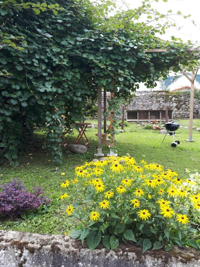 Bel Appartement Renove Dans Maison Bigourdane Pouzac Eksteriør bilde